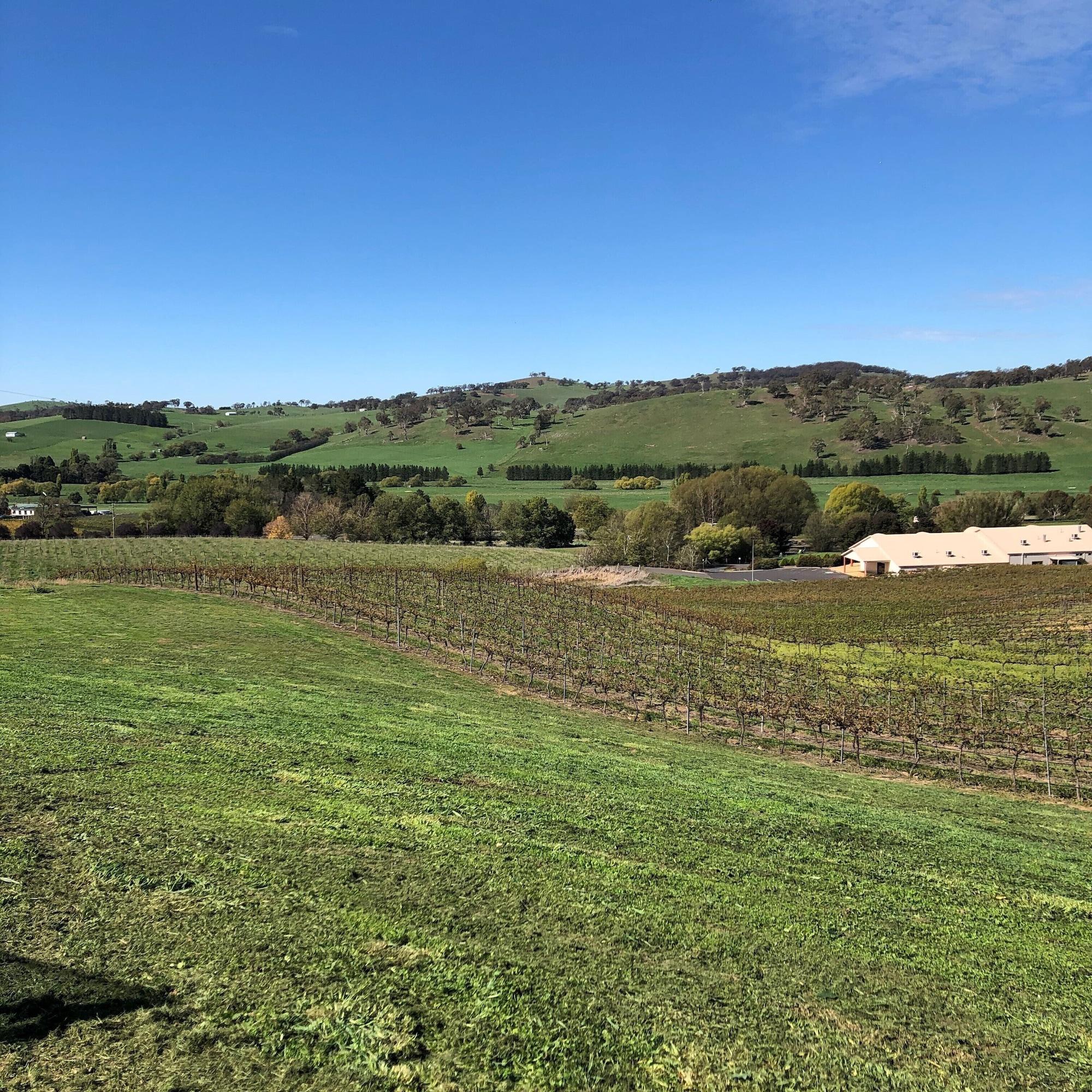 أورنج Turners Vineyard Motel المظهر الخارجي الصورة