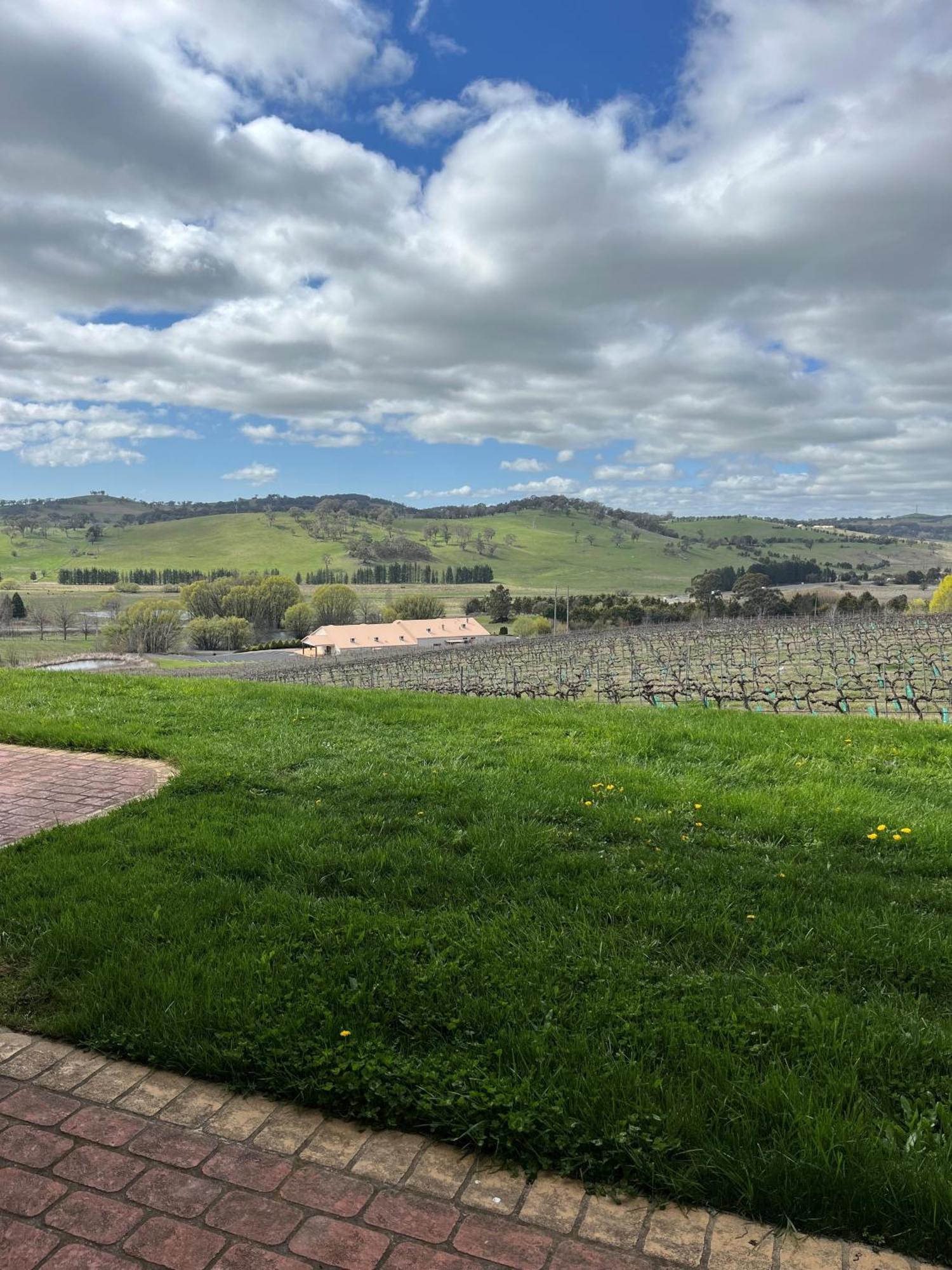 أورنج Turners Vineyard Motel المظهر الخارجي الصورة
