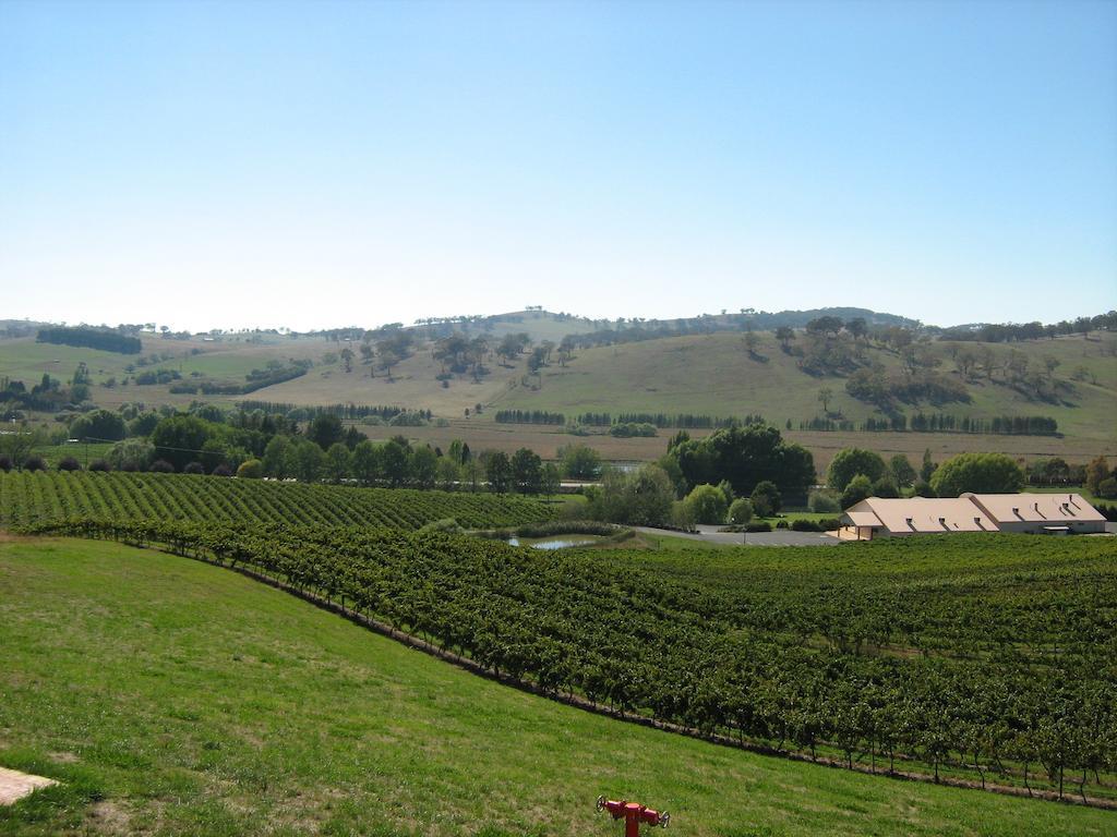 أورنج Turners Vineyard Motel الغرفة الصورة