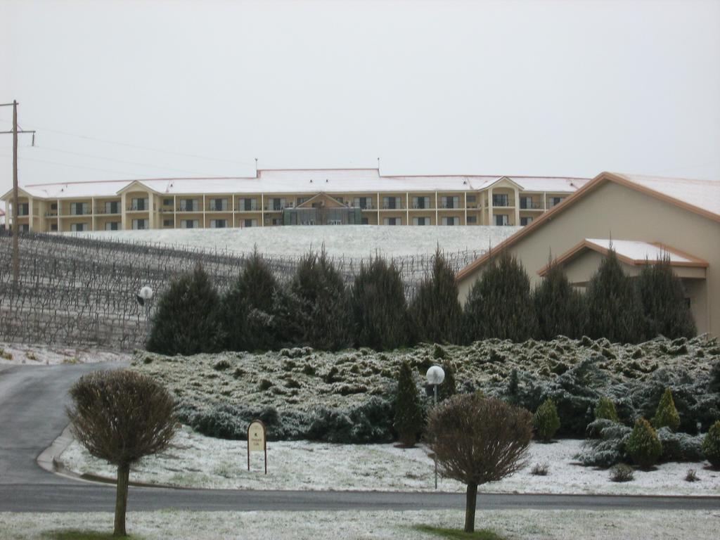 أورنج Turners Vineyard Motel المظهر الخارجي الصورة