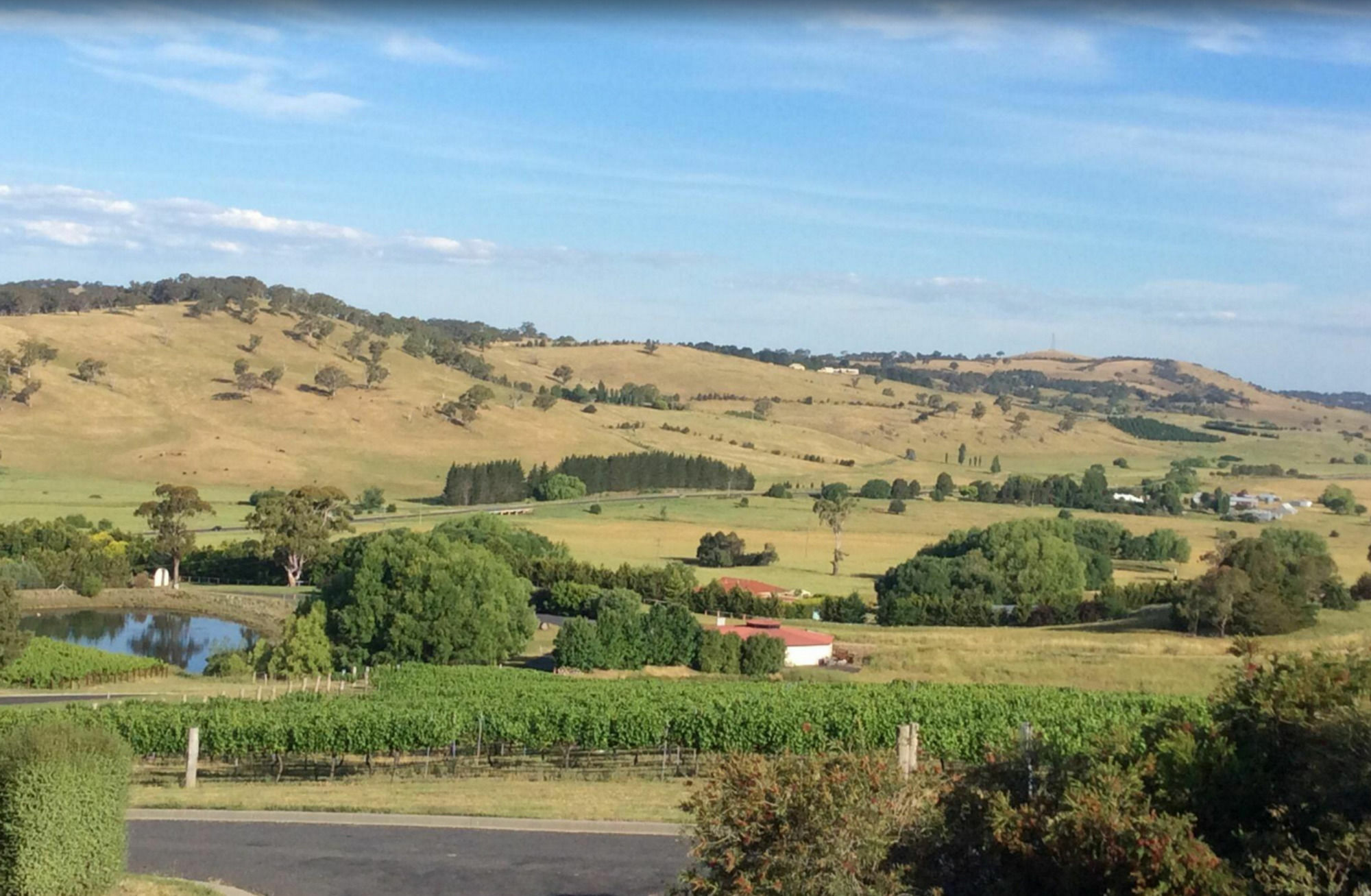 أورنج Turners Vineyard Motel المظهر الخارجي الصورة