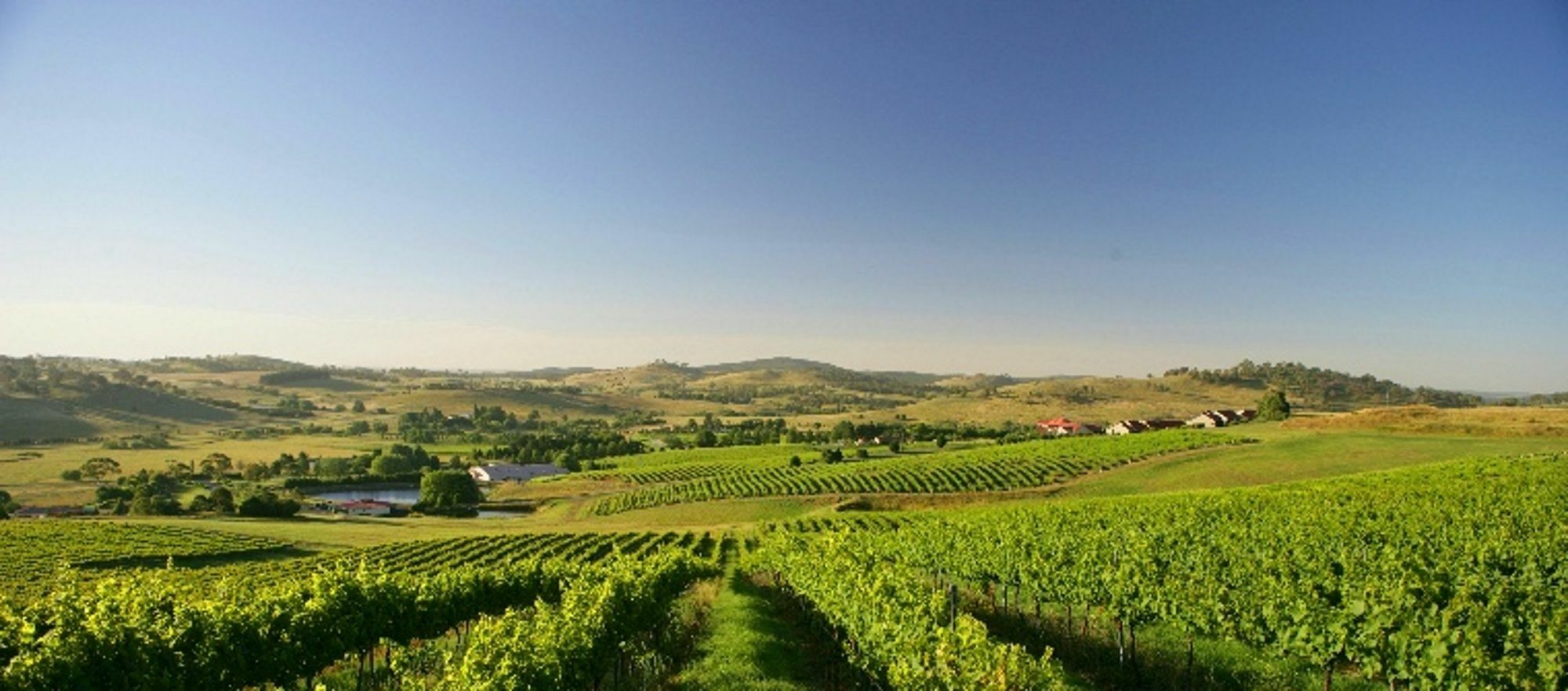 أورنج Turners Vineyard Motel المظهر الخارجي الصورة