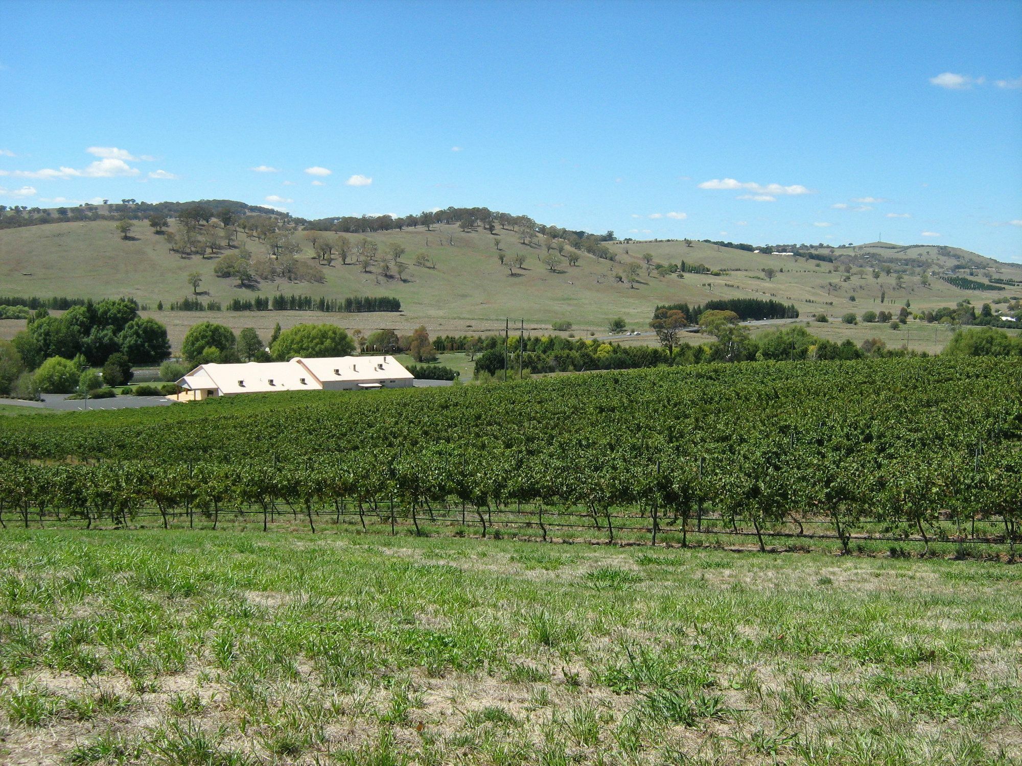 أورنج Turners Vineyard Motel المظهر الخارجي الصورة