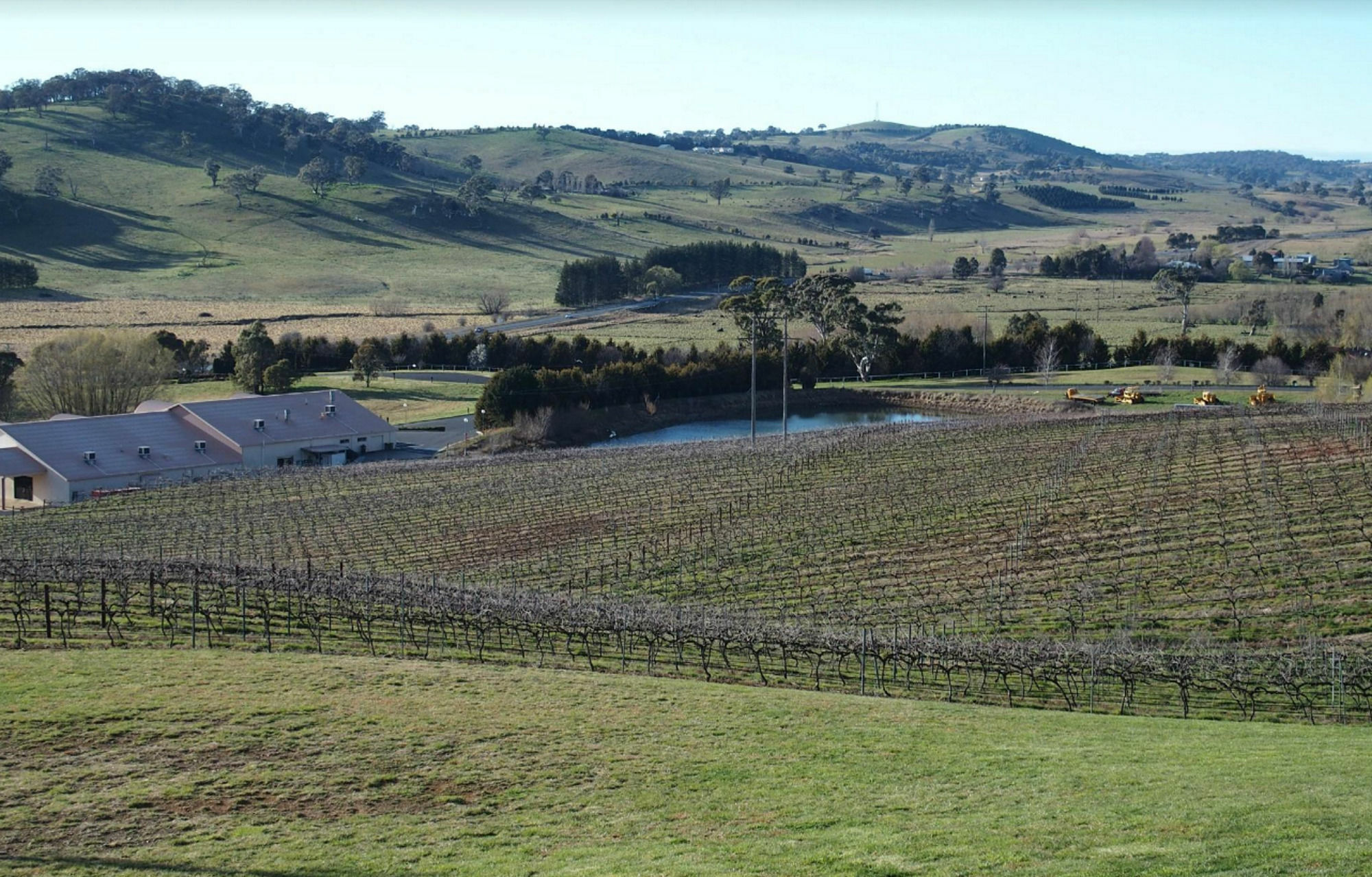 أورنج Turners Vineyard Motel المظهر الخارجي الصورة