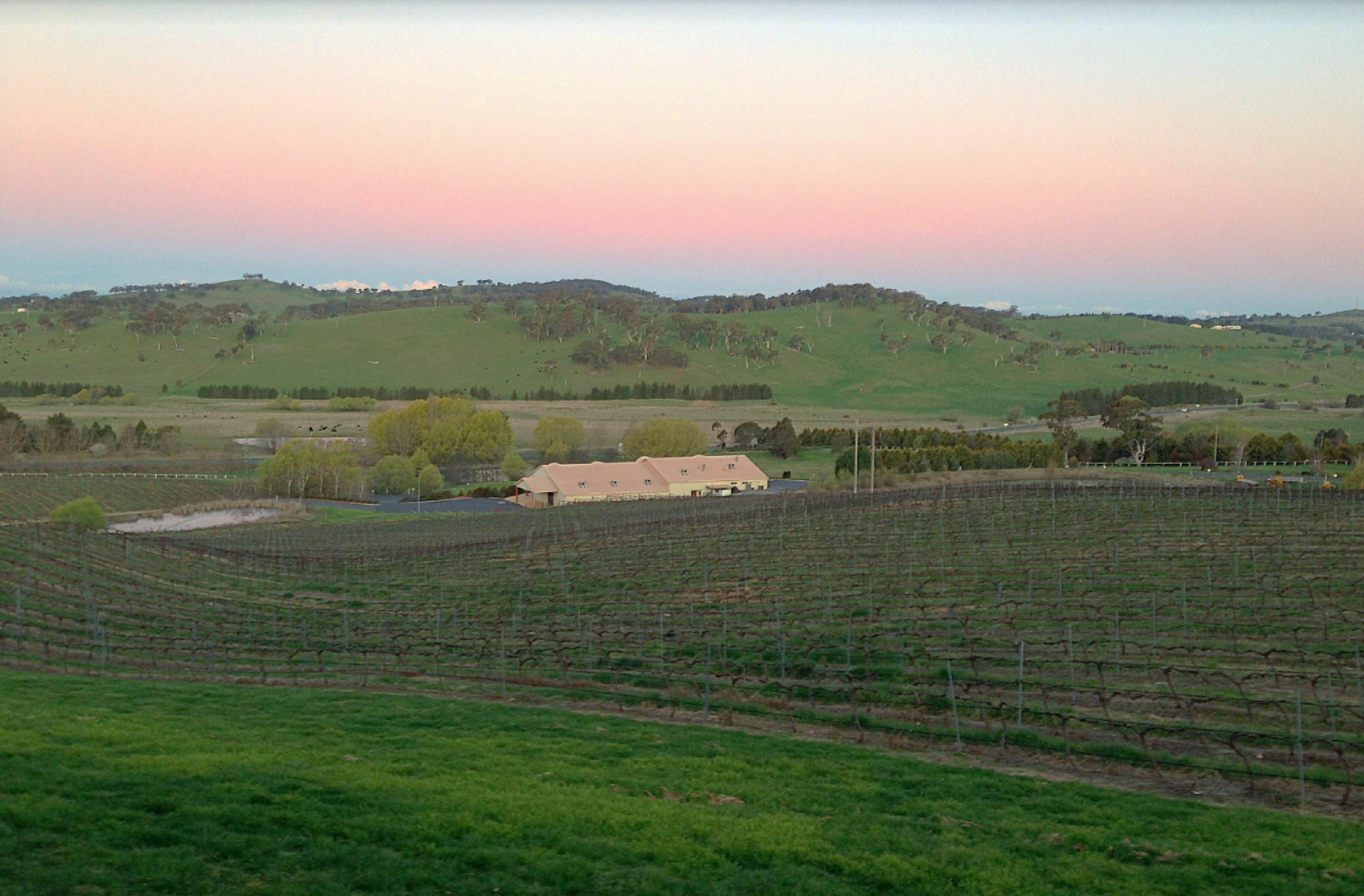أورنج Turners Vineyard Motel المظهر الخارجي الصورة