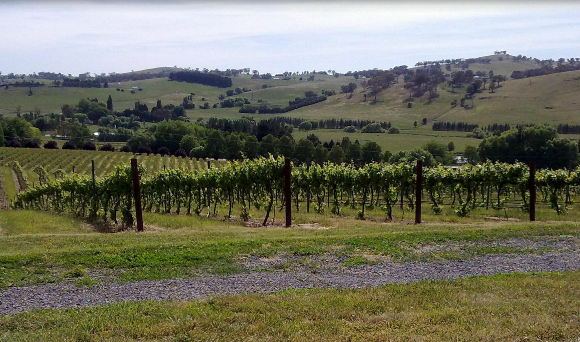 أورنج Turners Vineyard Motel المظهر الخارجي الصورة