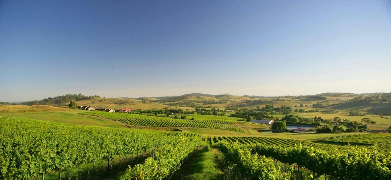 أورنج Turners Vineyard Motel المظهر الخارجي الصورة